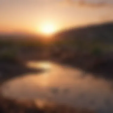 New Beginnings and Hope A vibrant sunrise illustrating new beginnings and hope