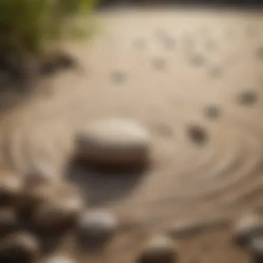 Zen garden with raked sand and rocks