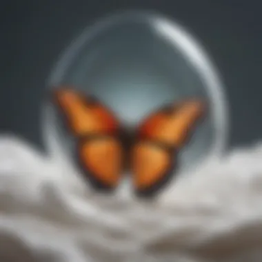 Illustration of personal transformation through a butterfly emerging from a cocoon