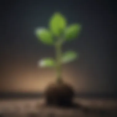 Sprouting Growth Growth Sprout Illustration