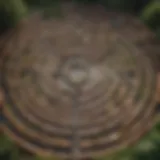 Illustration of a labyrinth symbolizing the complex nature of habits