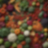 Freshly grown vegetables and fruits showcasing clean eating options