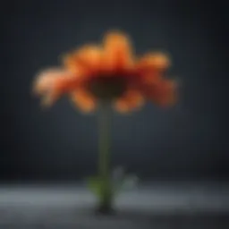 Abstract representation of sadness through a wilted flower