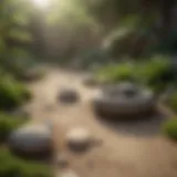 Zen Garden