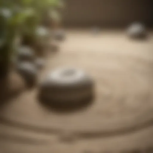 Zen garden with raked sand patterns